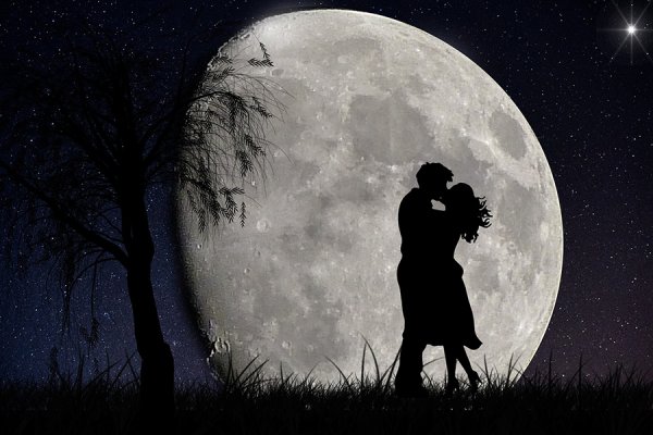 Любование луной