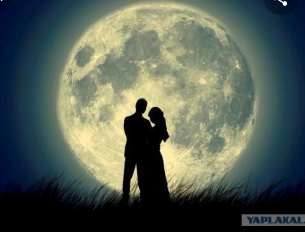 Влюбленные на фоне Луны