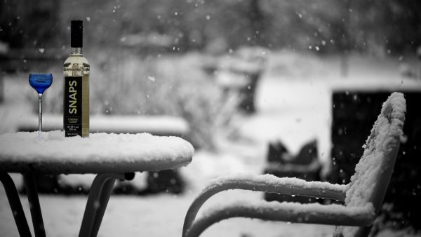Пустые бутылки на снегу