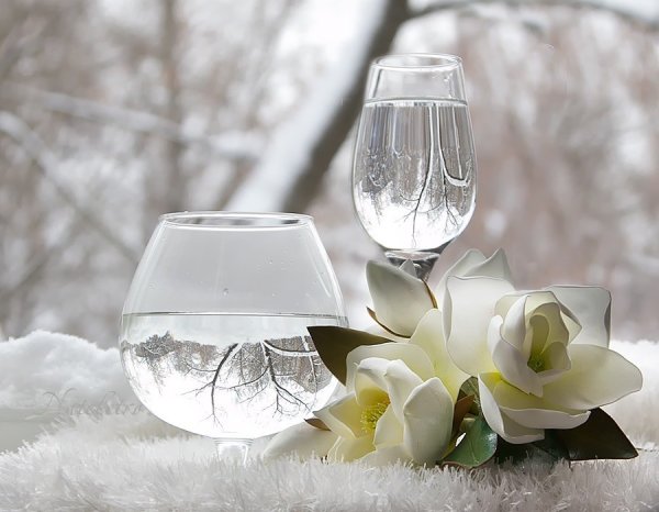 Нежные зимние натюрморты