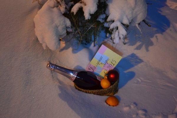 Шампанское в сугробе