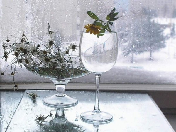 Цветы на зимнем окне