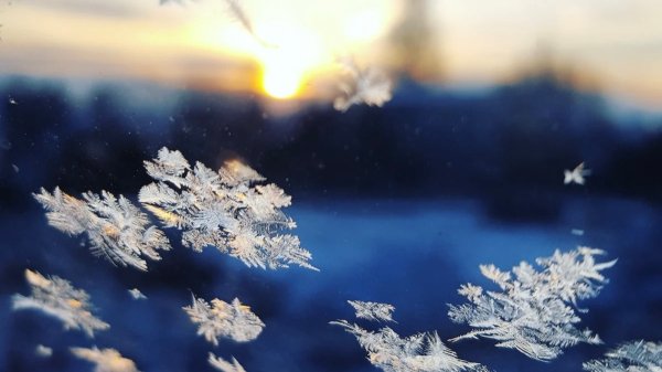 Снежинки в небе