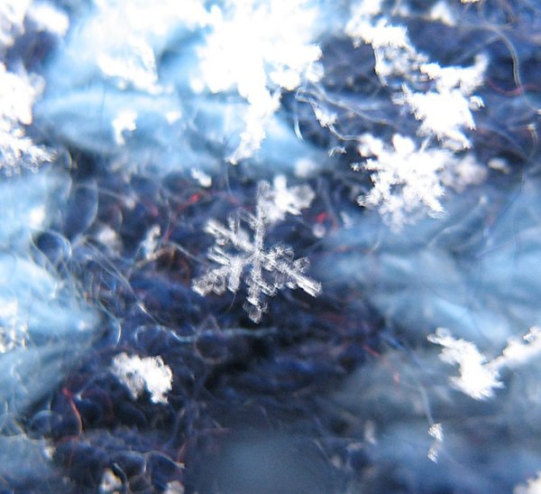 Снежинки в воздухе кружатся