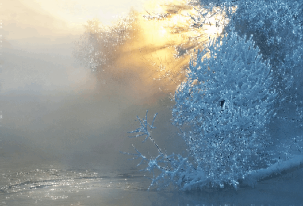 Снег блестит и сверкает на солнце