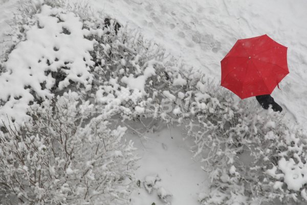 Зонтик под снегом