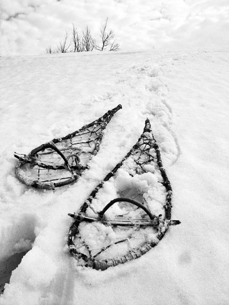 На снегоступах по снегу