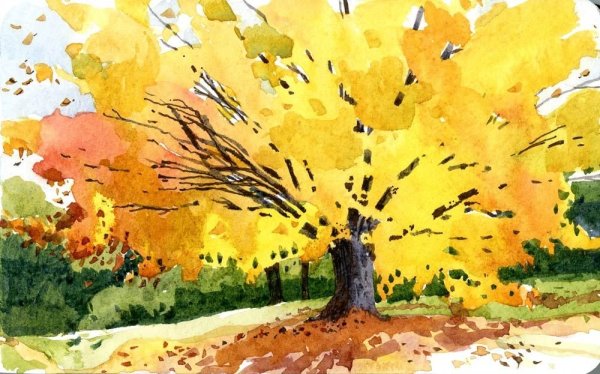 Рисование осеннего дерева акварель