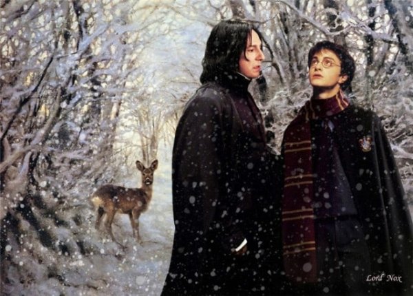 Гарри Поттер и Северус Снейп зимой