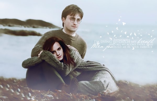 Гарри Поттер и Гермиона любовь