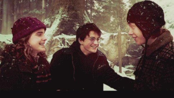 Гарри Поттер Рон и Гермиона зима