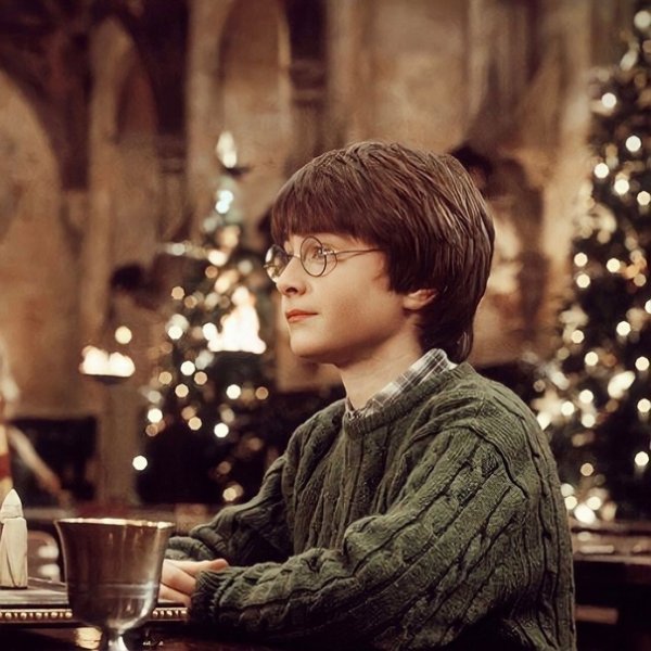 Гарри Поттер. Рождество в Хогвартсе