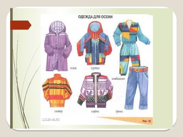 Пальто, шапка, брюки, кофта, свитер, комбинезон.