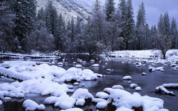 Зимний ручей в лесу