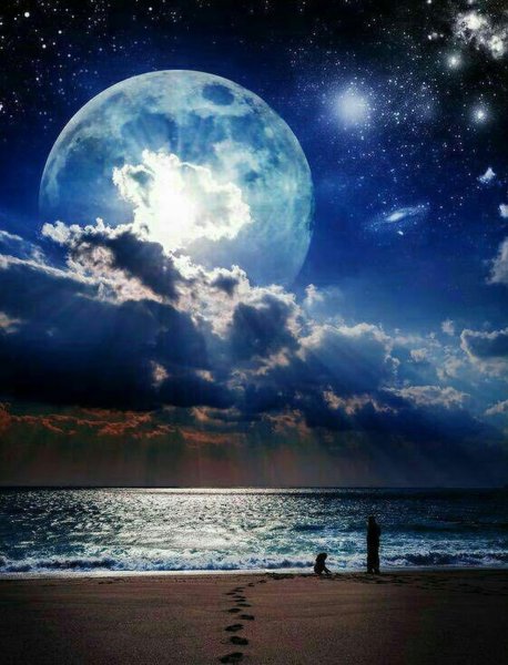 Красивая ночь