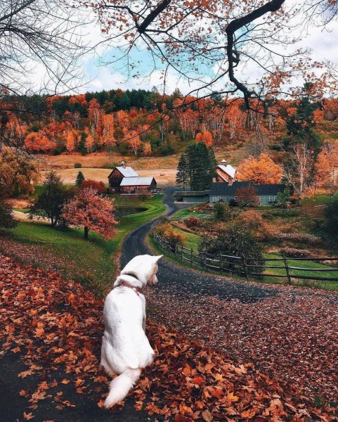 Осень позитив