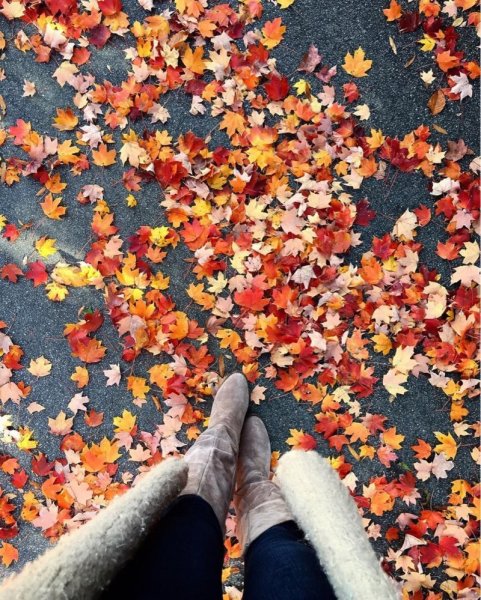 Необычная осень