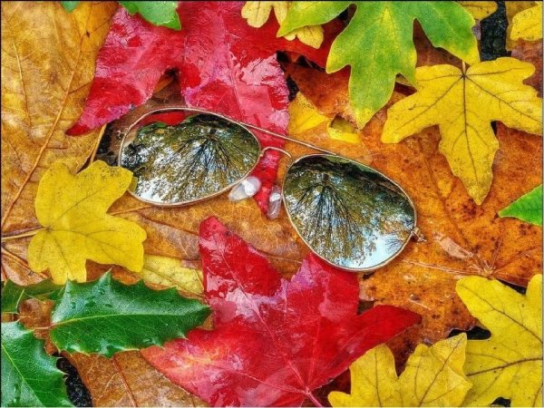 Очки на осеннем фоне
