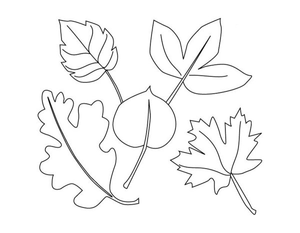 Листья раскраска