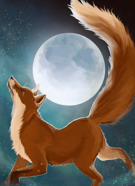 Лунный Лис
