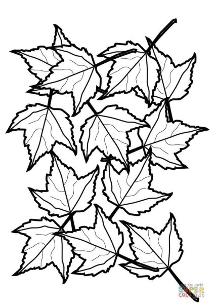 Кленовый лист раскраска