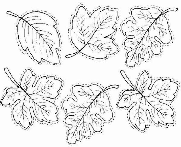 Листья трафарет для вырезания