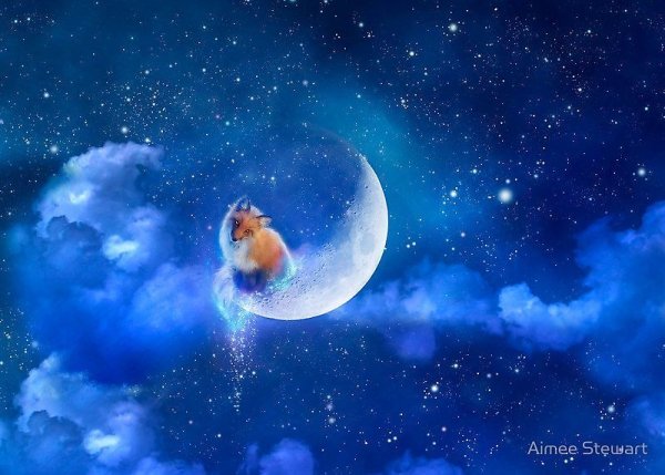 Спокойной ночи лисы