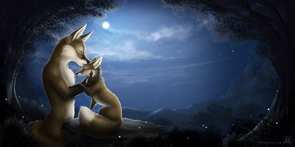 Спокойной ночи, лиса!