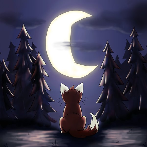 Ночь лисята