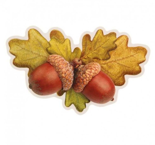 Дубовые желуди