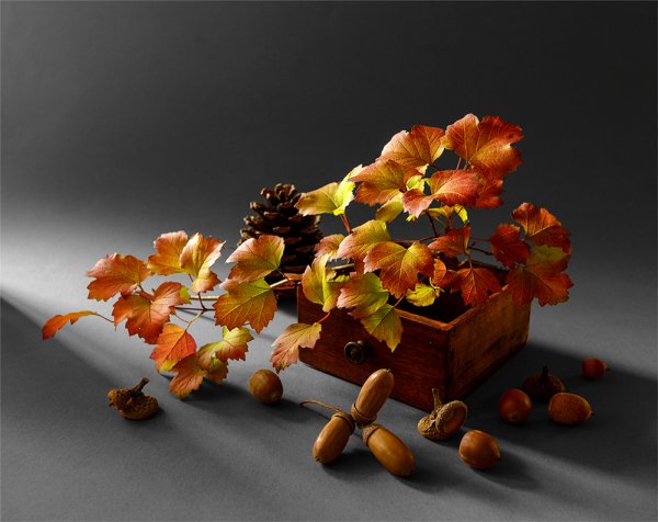 Осенние композиции с ветками и листьями