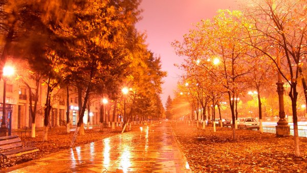 Осень городская