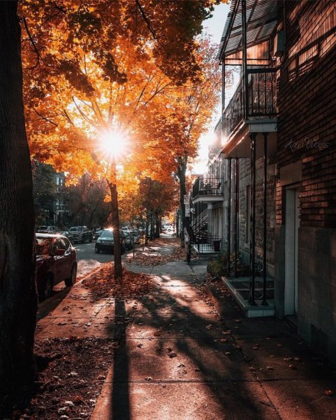 Улица осень