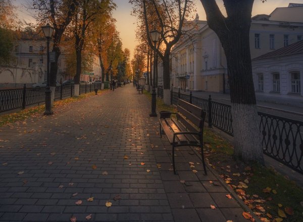 Аллея Костромы