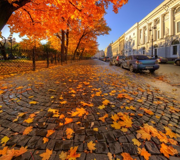 Золотая осень в СПБ Петроградка