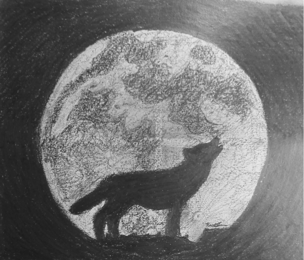 Волк воет на луну рисунок карандашом