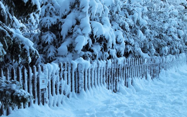 Снежный забор