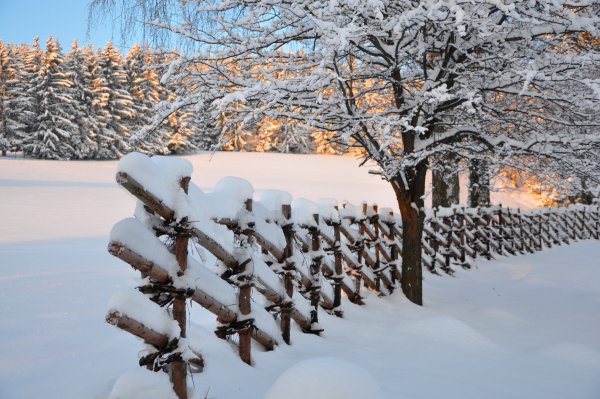 Заснеженный забор