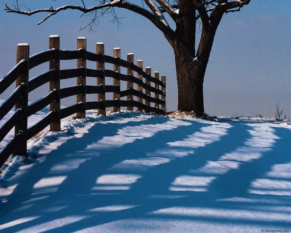 Заснеженный забор