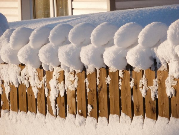 Забор в снегу