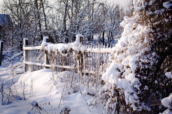 Заснеженный забор