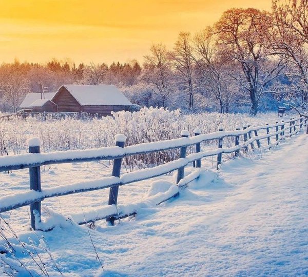 Заснеженный забор