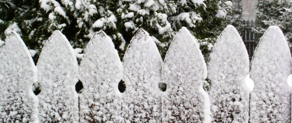 Снежный заборчик