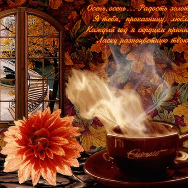 Тёплого уютного осеннего дня