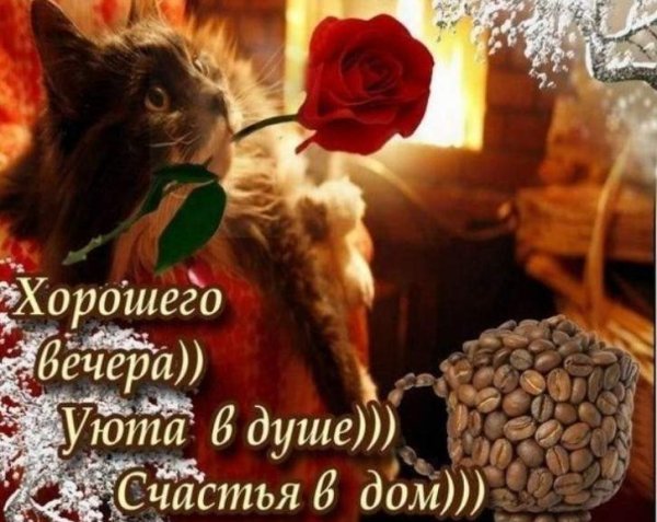 Хорошего вечера и настроения