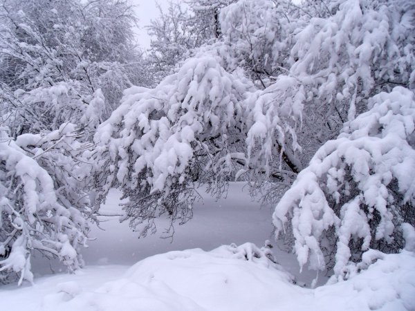Много снега