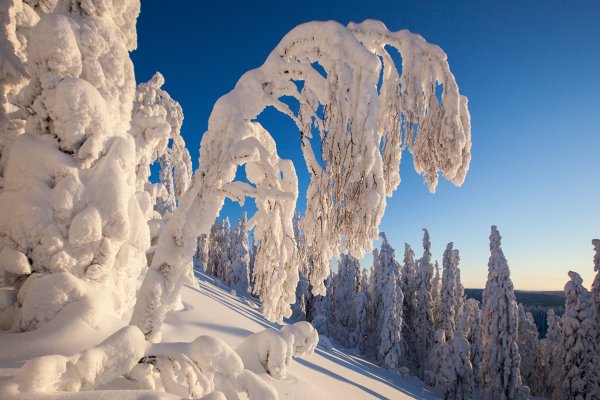 Снег сугробы