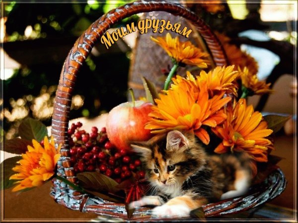 Хороших осенних выходных и отличного настроения