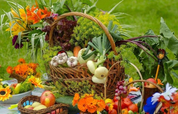 Праздник жатвы Осенины