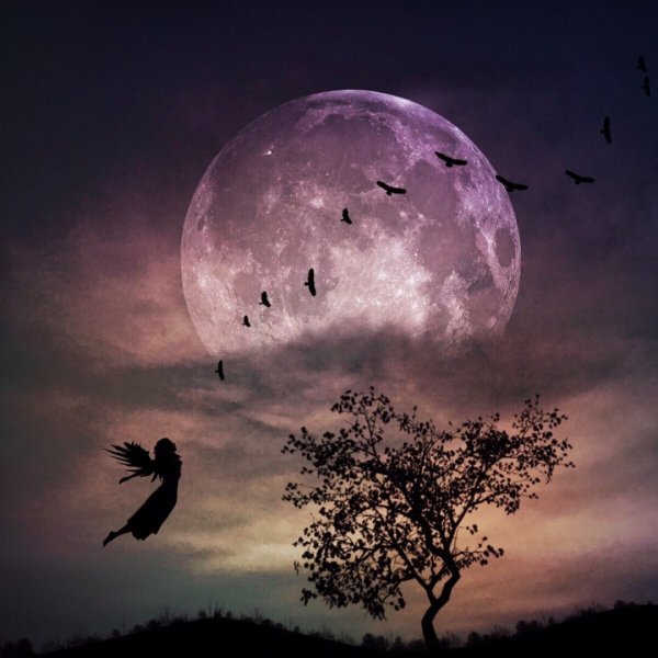 Полнолуние прекрасное